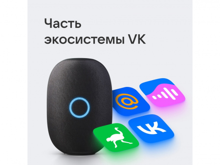 Умная колонка VK «Капсула» с голосовым помощником Марусей, 30 Вт