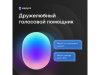 Умная колонка VK «Капсула» с голосовым помощником Марусей, 30 Вт