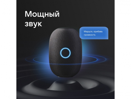 Умная колонка VK «Капсула» с голосовым помощником Марусей, 30 Вт